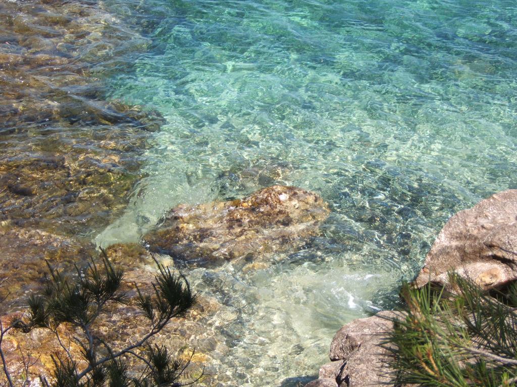Aparthotel Les Lauriers Roses Le Le Rayol-Canadel-sur-Mer Zewnętrze zdjęcie