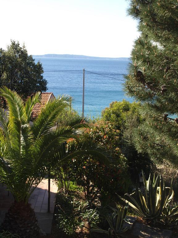 Aparthotel Les Lauriers Roses Le Le Rayol-Canadel-sur-Mer Zewnętrze zdjęcie